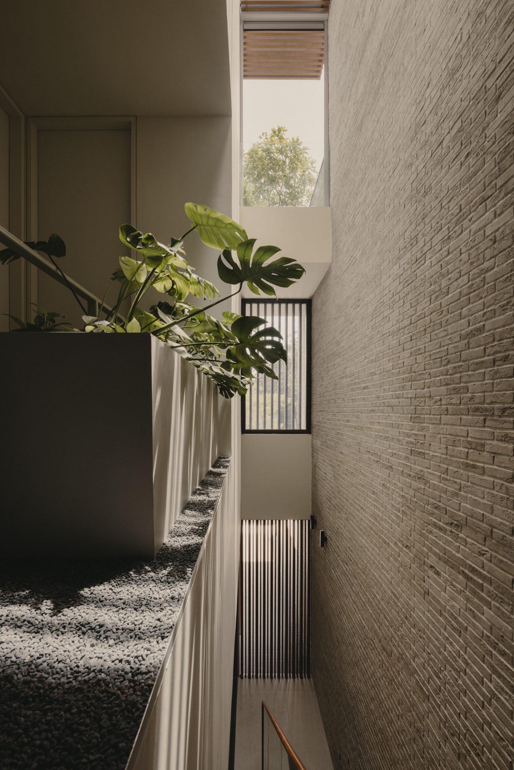 Taco Architects – 18 Hillcrest Road-20